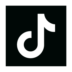 social media tiktok