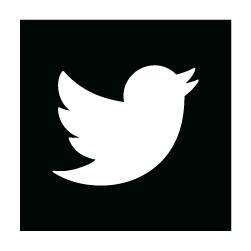 social media twitter