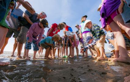 Kinder-Uni-Foehr-2015-Entspannte-Urlaubsatmosphaere-statt-Hoersaal-Erstmals-waehrend-des-bundesweiten-Sommerferienkorridors