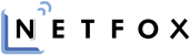 Netfox AG - Logo